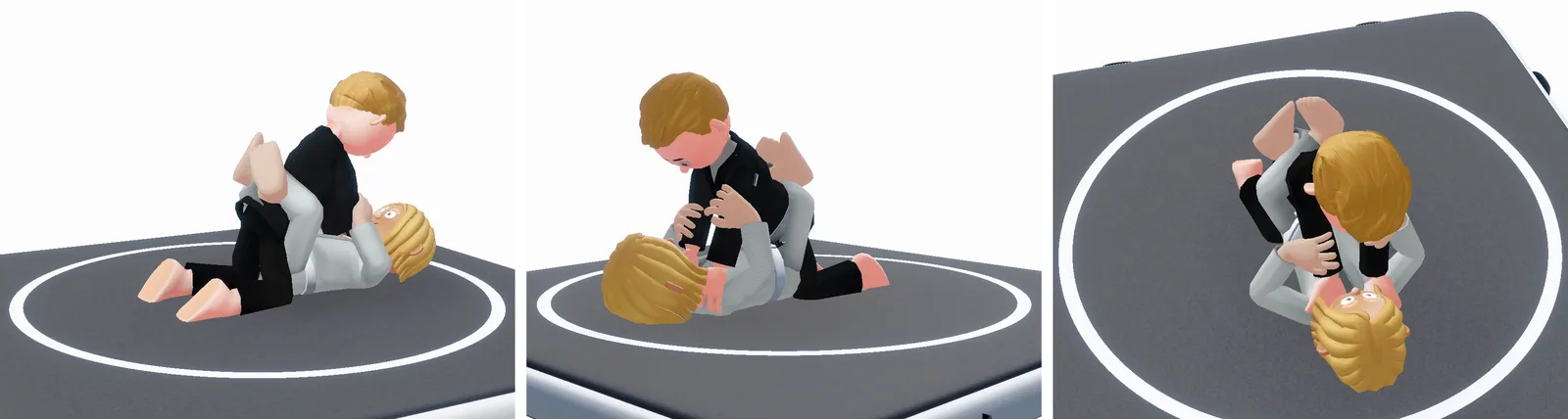 Full mount in the Beyond the Mat app shown from the side, from a low angle and from directly overhead